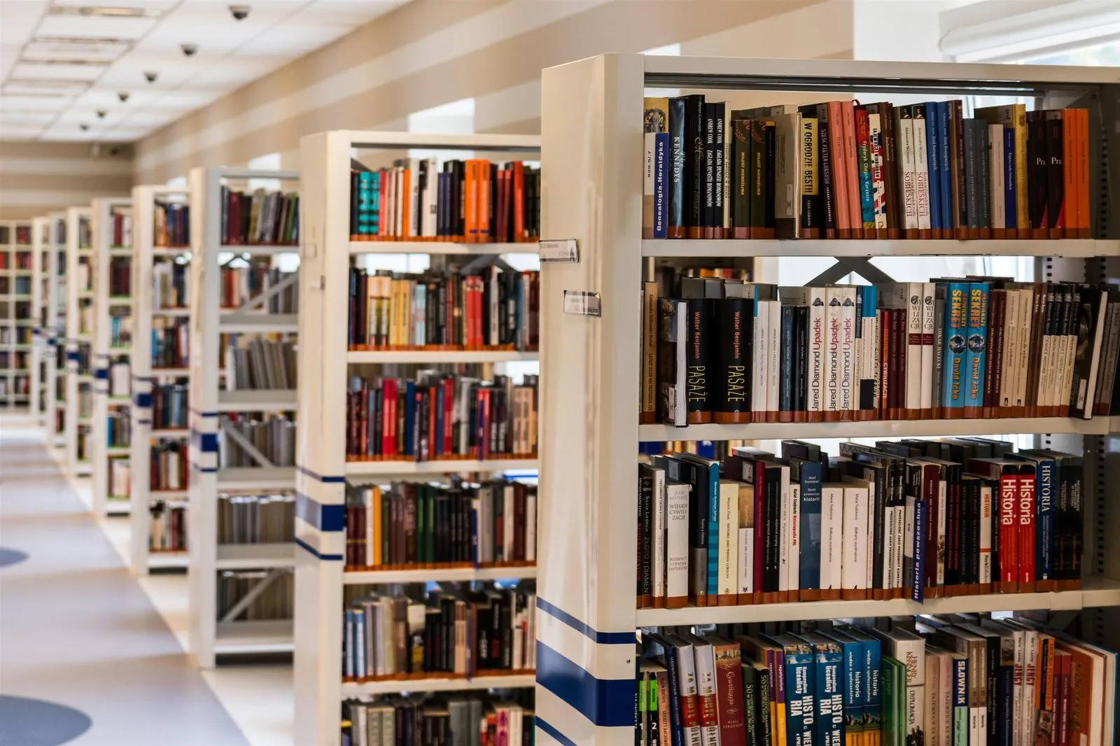 Long shelves books library